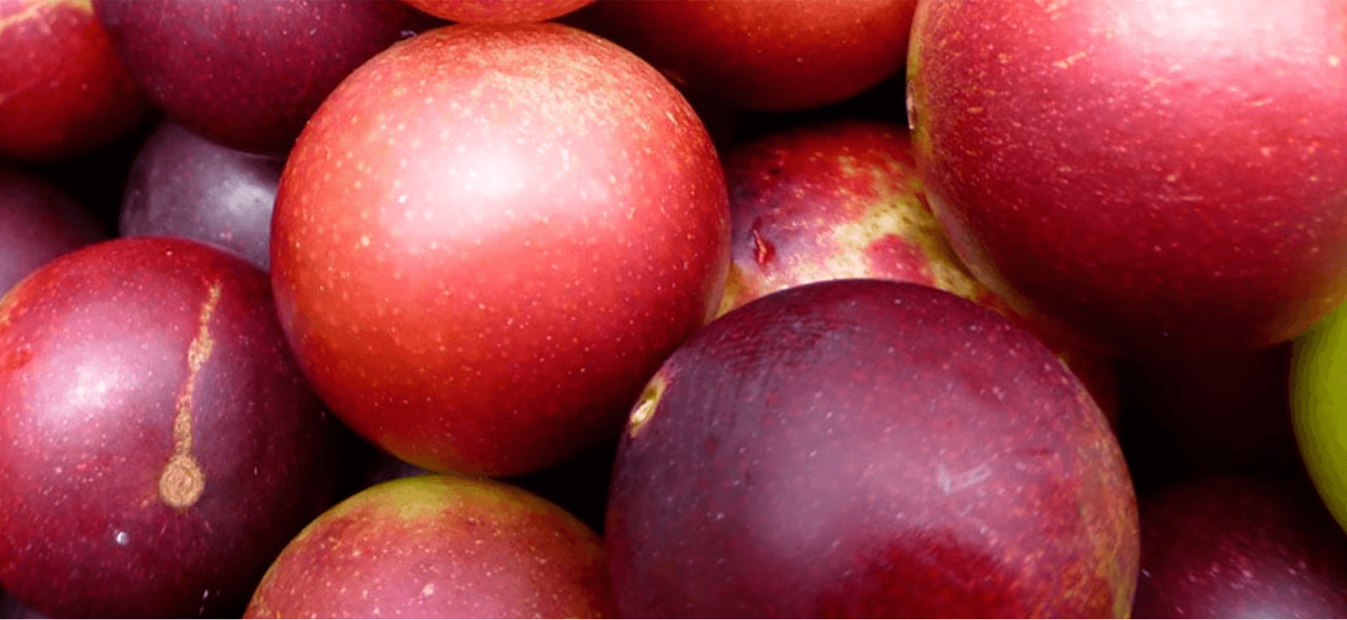 Camu Camu From Peru