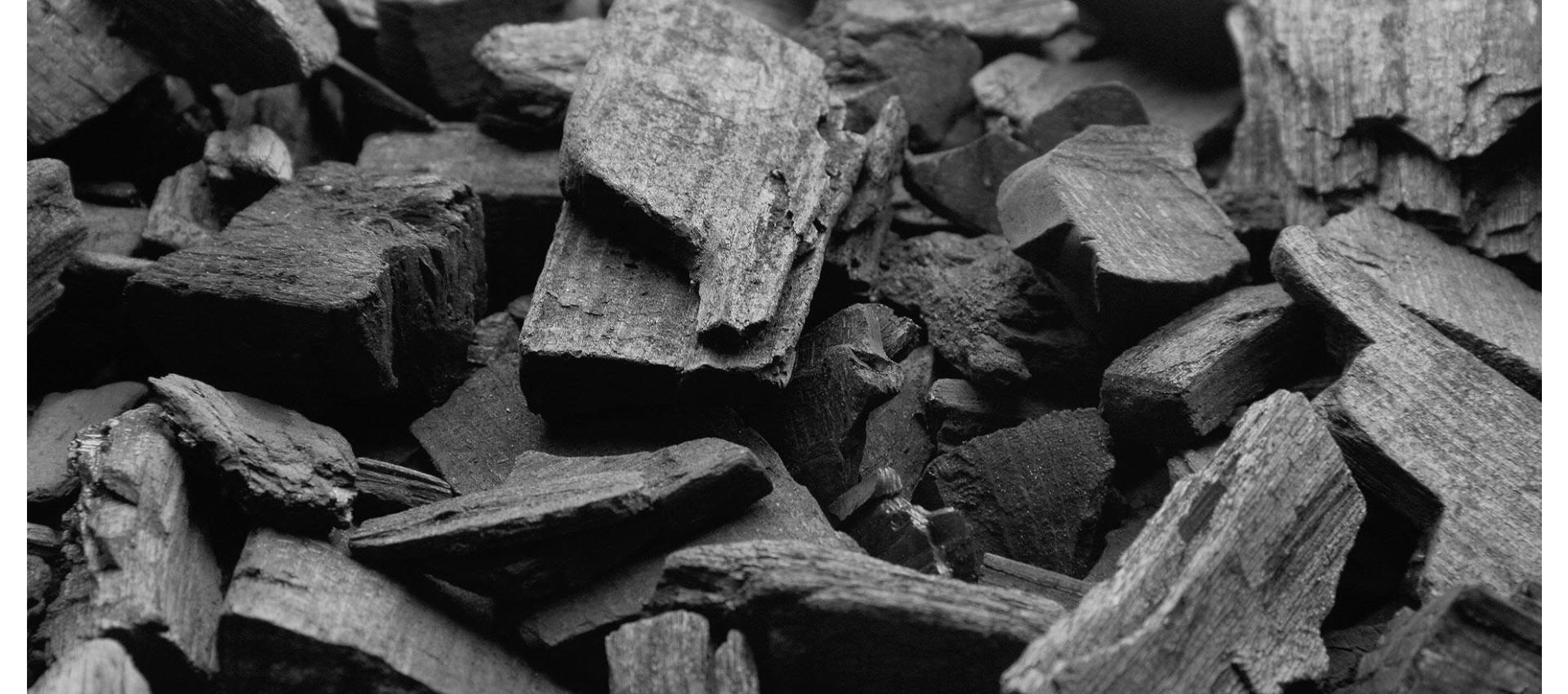 HIMALAYAN BAMBOO CHARCOAL THE SUSTAINABLE SKIN PURIFIER