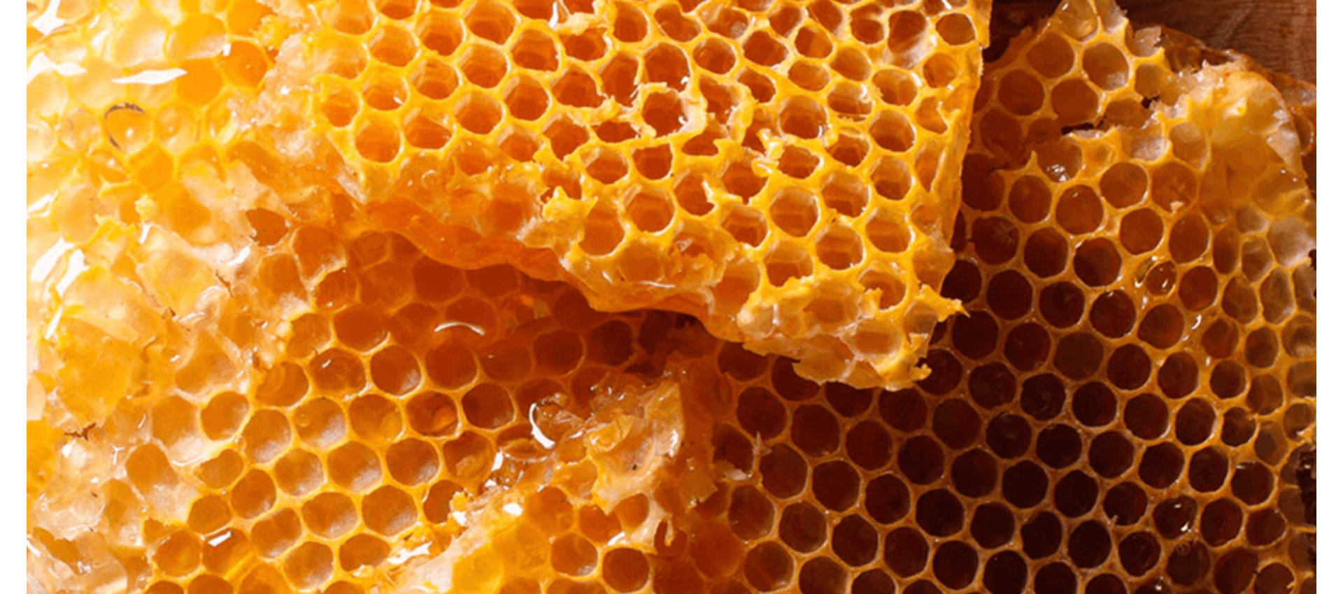 Community Trade Honey from Ethiopia