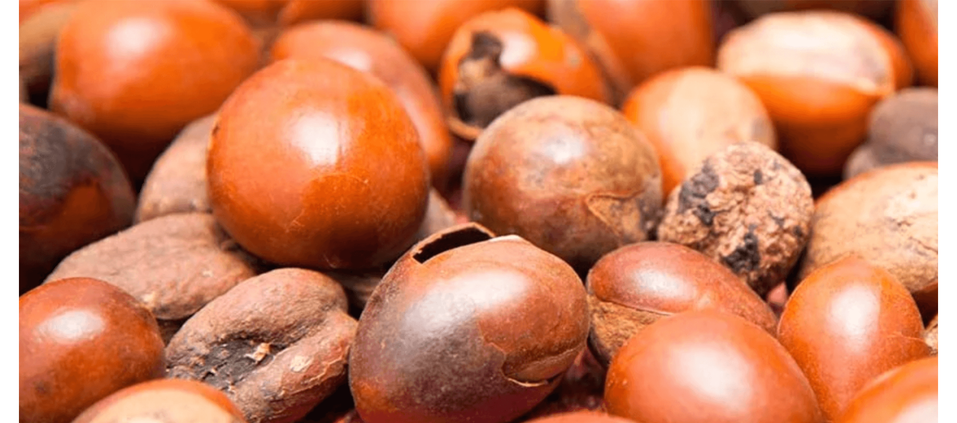 Community Trade Shea Butter From Ghana