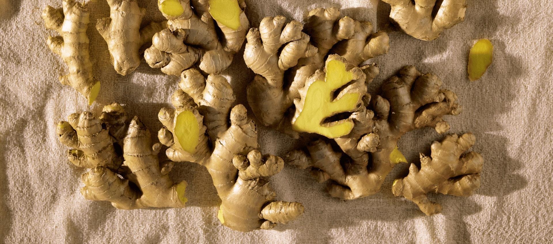 SUSTAINABLY SOURCED GINGER ESSENTIAL OIL A LITTLE ROOT WITH CLEANSING AND PURIFYING POWER