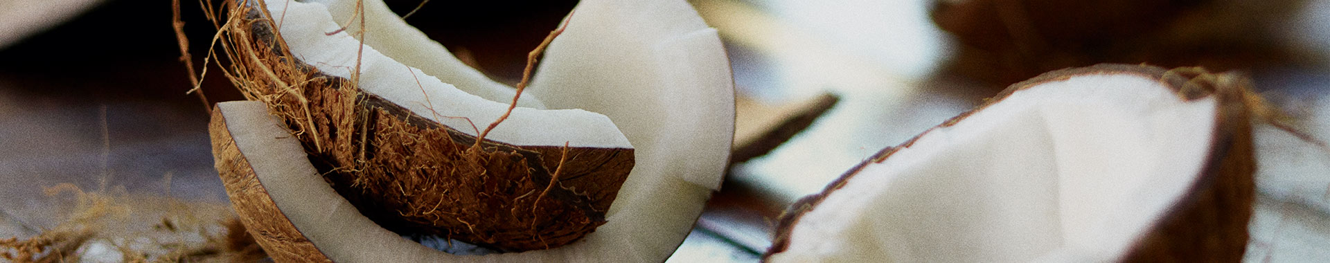 Coconut Coconut