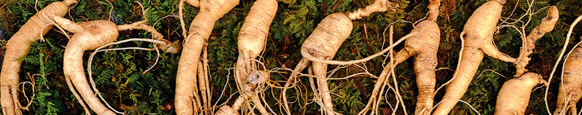 Roots Of Strength™ Roots Of Strength™