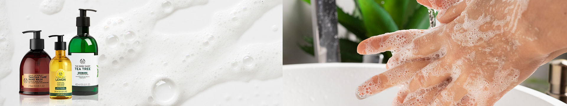 Hand Wash Hand Wash