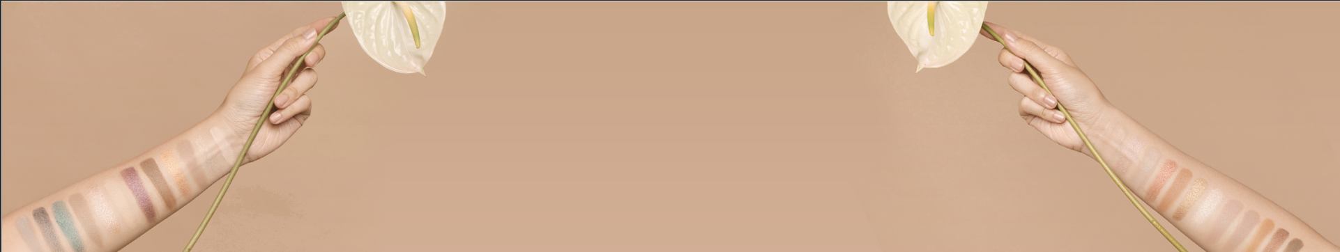 Palettes Palettes