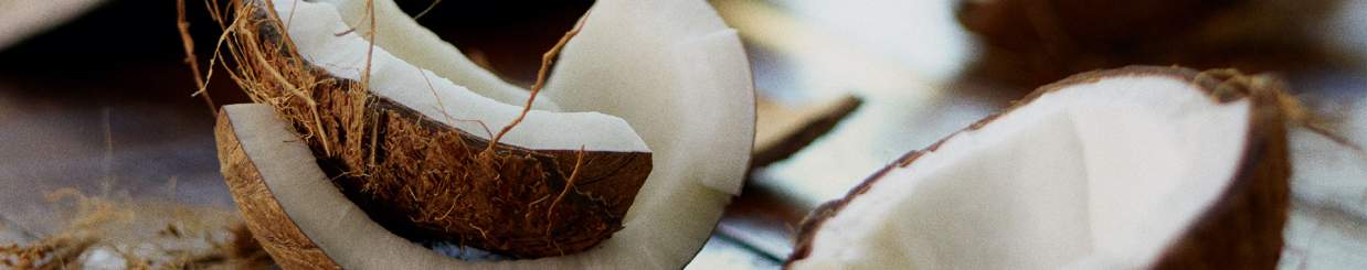 Coconut Coconut