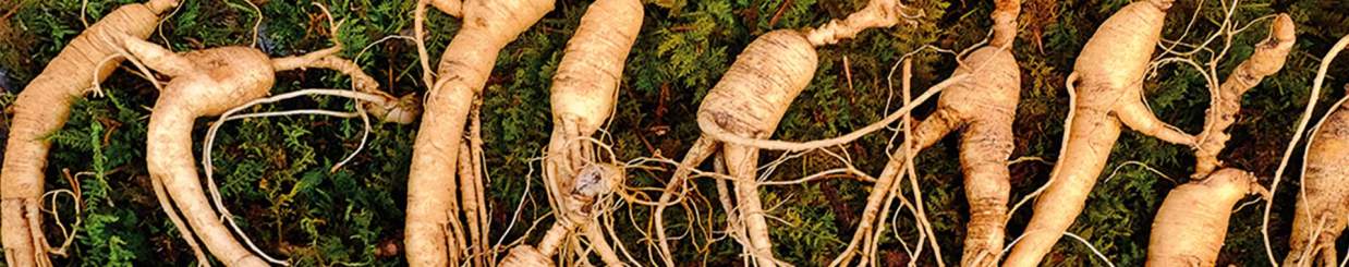 Roots Of Strength™ Roots Of Strength™
