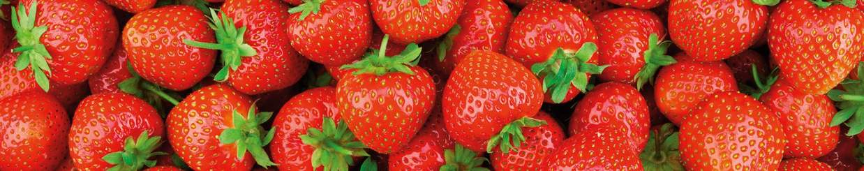 Strawberry Strawberry