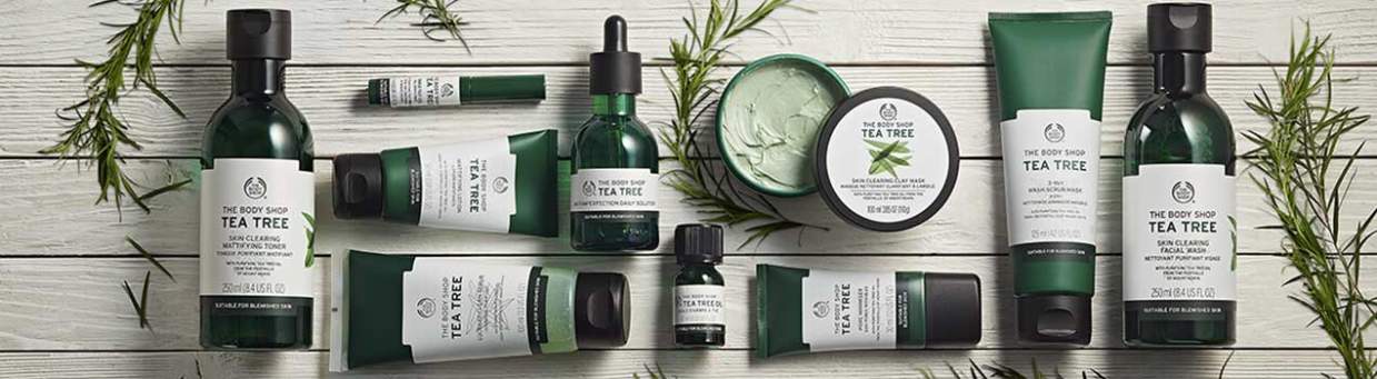 Oily Skin Type Oily Skin Type