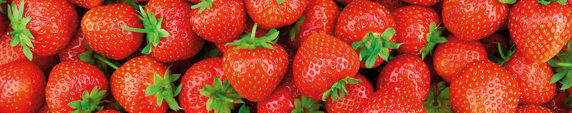 Strawberry Strawberry