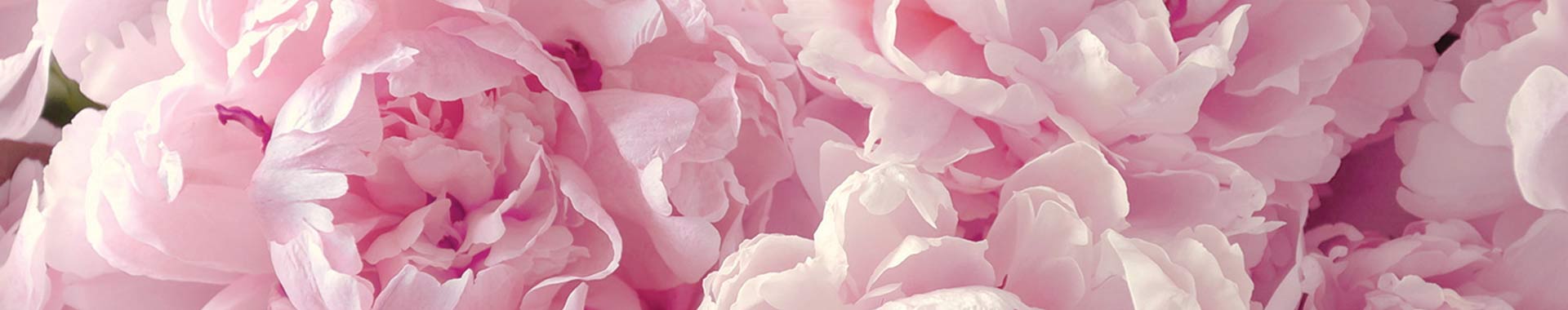 White Musk® Flora White Musk® Flora