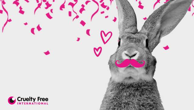 BAN ANIMAL TESTING BAN ANIMAL TESTING